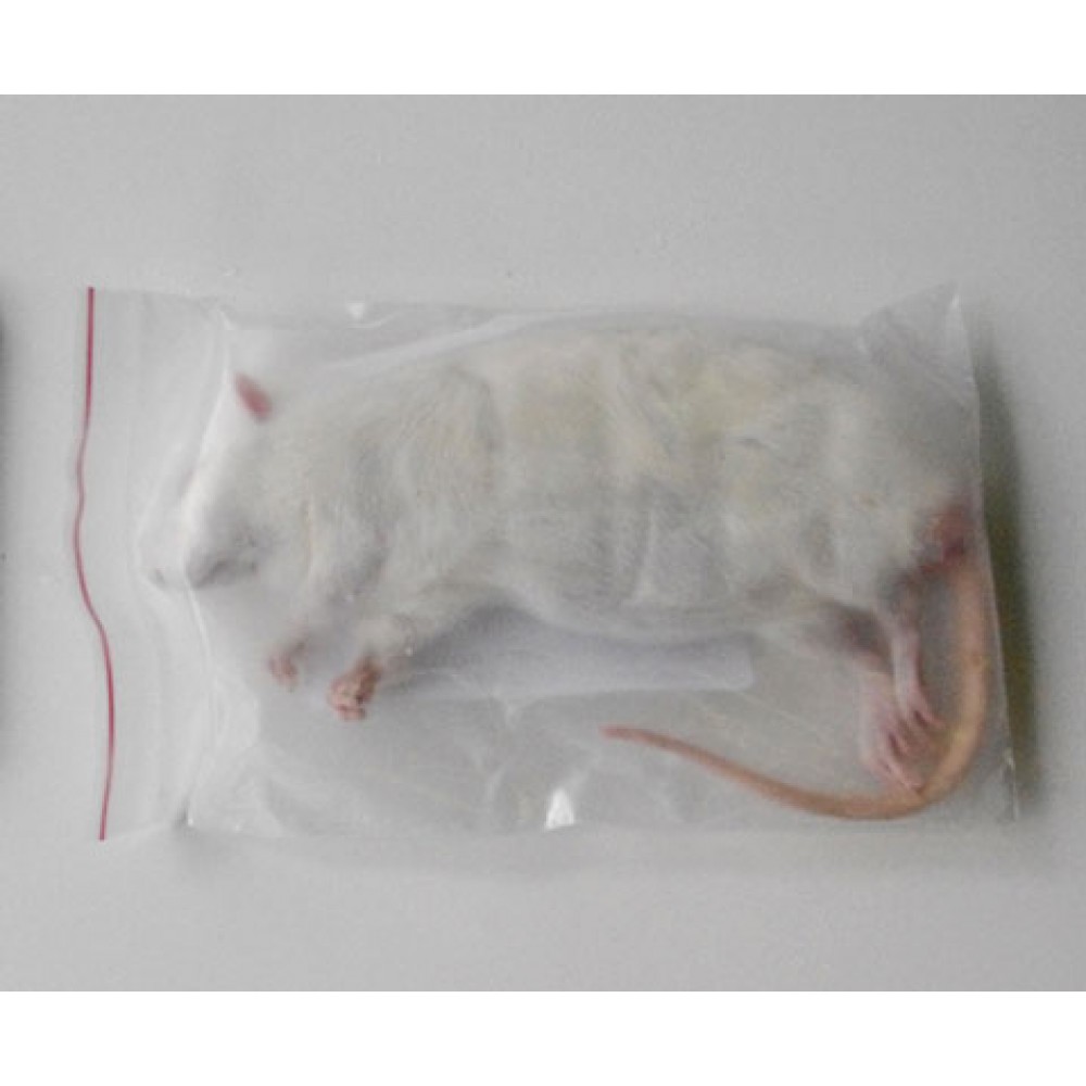Замороженный корм для змей крысы взрослые крупные 20+ см