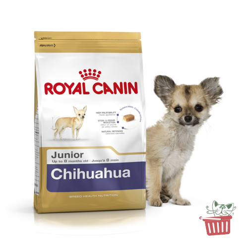 Royal Canin CHIHUAHUA Junior, 500g