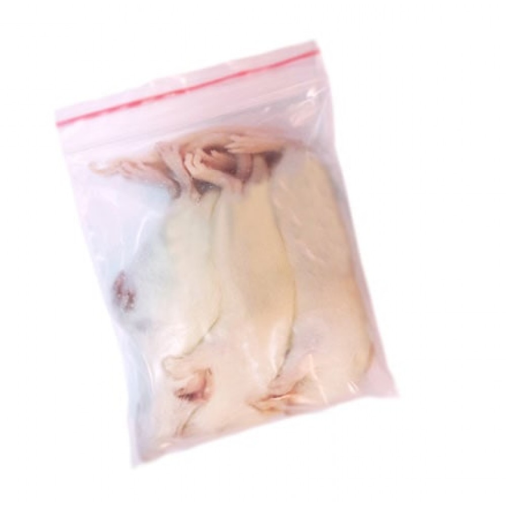 Замороженный корм для змей крысы взрослые 15-20 см