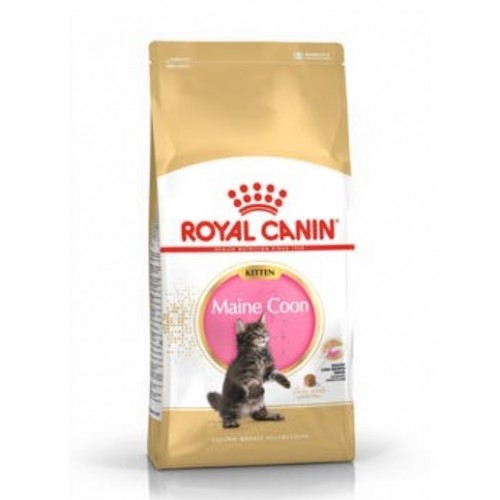 Royal Canin KITTEN MAINE COON, 2 кг