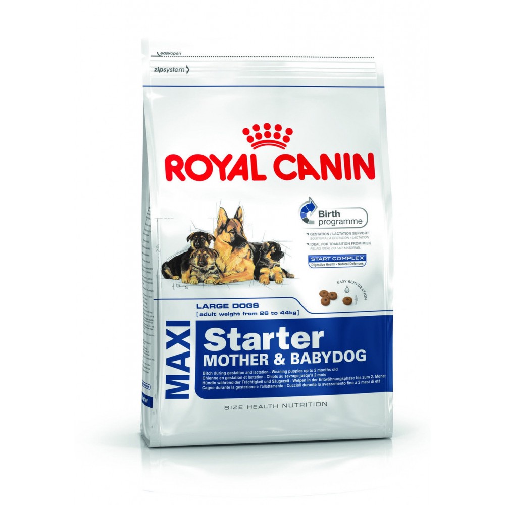 Royal Canin MAXI STARTER MOTHER & BABYDOG, 4 kg