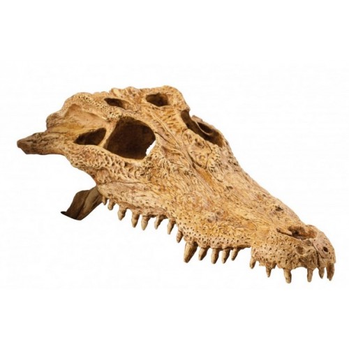 Череп крокодила Exo Terra (PT2856)