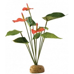Растение для террариума на подставке Exo Terra Anthurium Bush (PT2992)