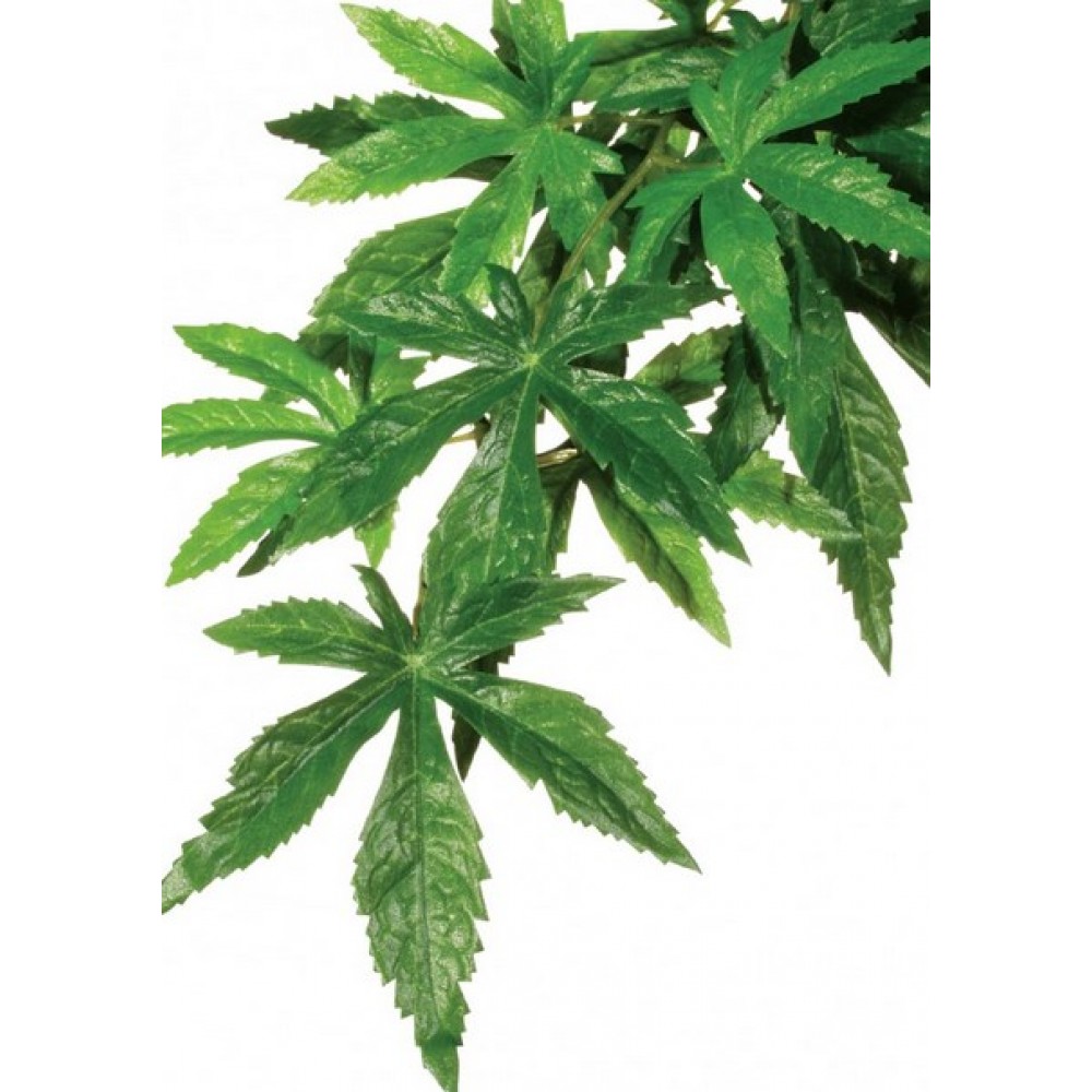 Растение для террариума шелковое Exo Terra ABULITON большое (PT3052)