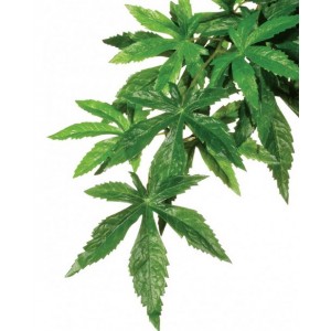 Растение для террариума шелковое Exo Terra ABULITON среднее (PT3042)