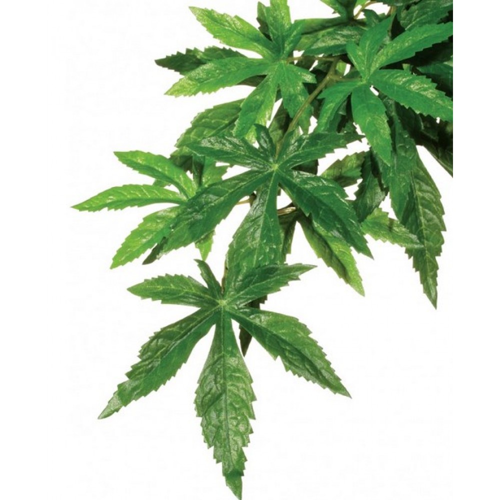 Растение для террариума шелковое Exo Terra ABULITON среднее (PT3042)
